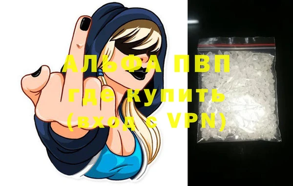 эйфоретик Бородино