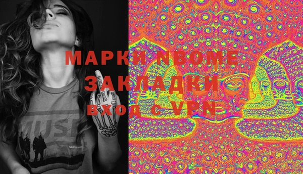 крисы Баксан